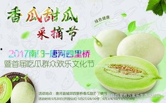 520吃瓜网,揭秘娱乐圈最新热点，带你畅游八卦海洋