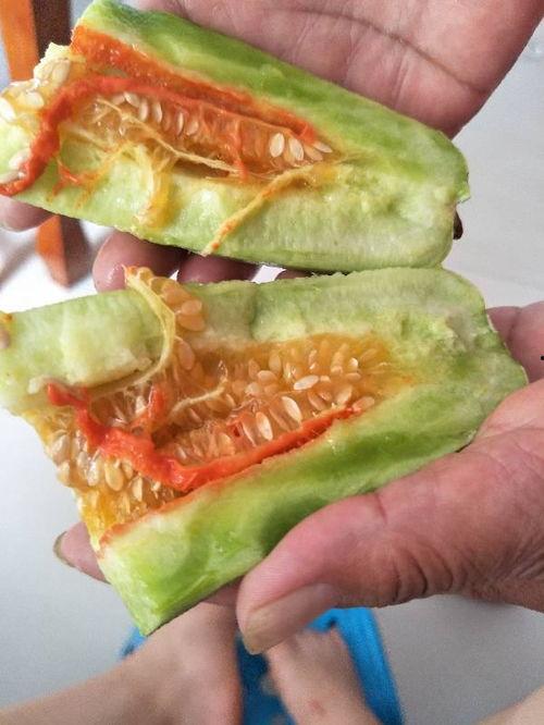 网红吃瓜猛料黄料是什么