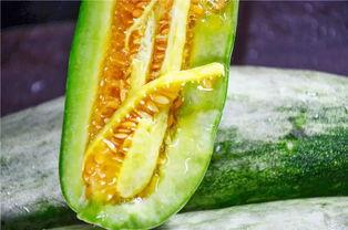 网红王璐茜吃瓜合集,吃瓜合集，揭秘娱乐圈幕后故事