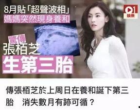 娱乐圈吃瓜实锤小说,那些被实锤的瓜，真相大揭秘