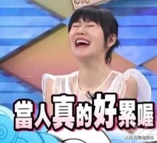 娱乐圈吃瓜综艺文推荐,明星幕后故事大揭秘，吃瓜综艺文推荐盘点