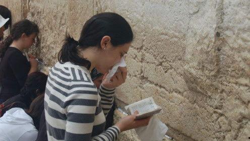 娱乐吃瓜君的照片