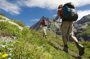 娱乐吃瓜酱老人徒步