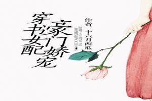 穿书全娱乐吃瓜的小说