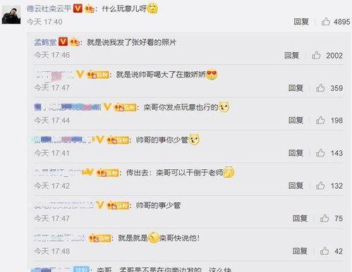 吃瓜评论区娱乐圈