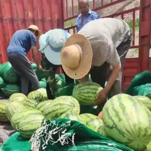 江苏网红吃瓜事件